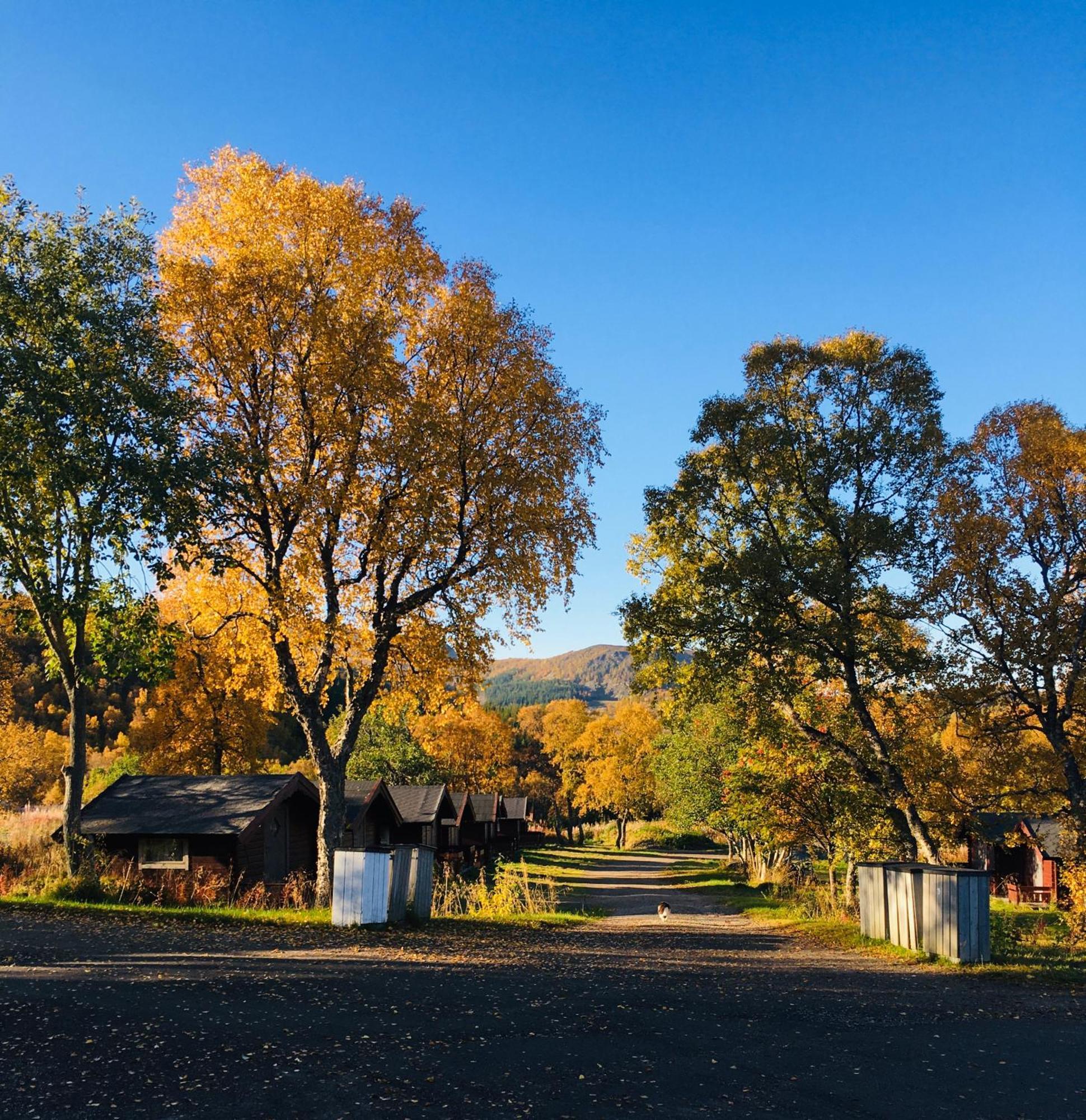 Sortland Camping Og Motell As Exterior photo